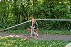Marche-en-laisse-centre-canin-CEPC